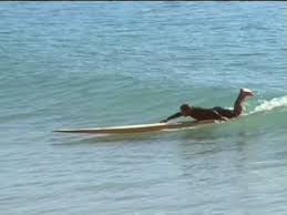 Toothpick frame grab