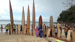 Wood demo day Noosa